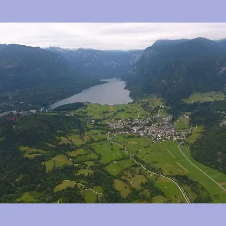Apartma Martin Bohinj